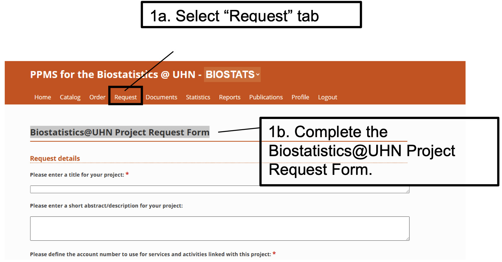 Biostatistics project request form in Stratocore